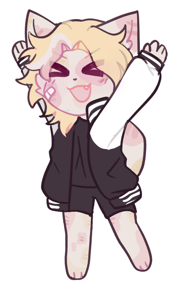 Commission's